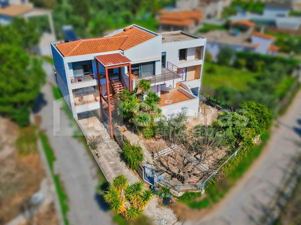 תמונת נאפפליו, פלופונס למכירה (1)