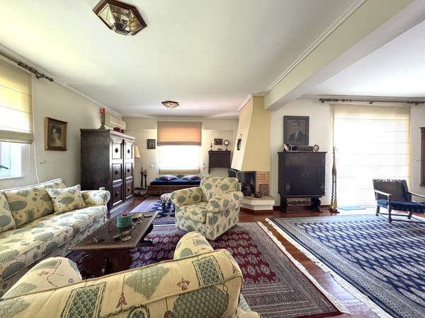 תמונת קיפיסיה, אתונה למכירה (1)