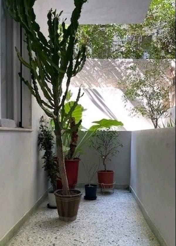 תמונת אנו קיפסלי, אתונה למכירה (1)