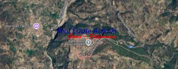 תמונת איגאליאה למכירה