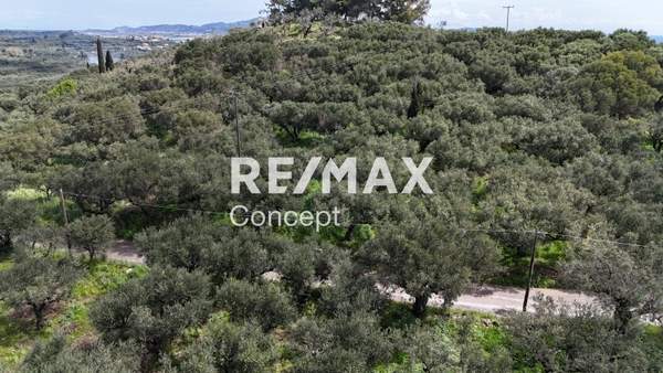 תמונת זקינתוס למכירה (1)