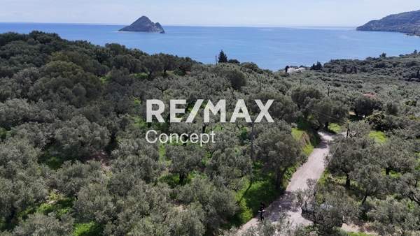 תמונת זקינתוס למכירה (0)