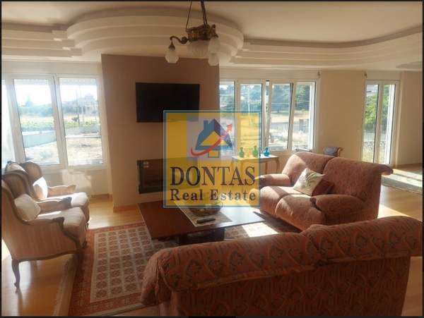 תמונת אורופוס, אתונה למכירה (0)