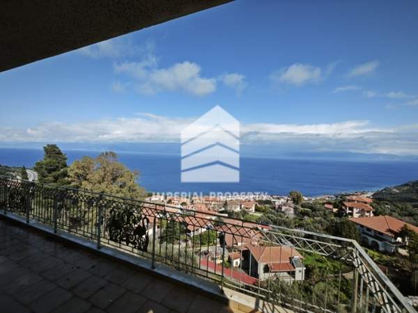 תמונת איגאליאה למכירה (0)