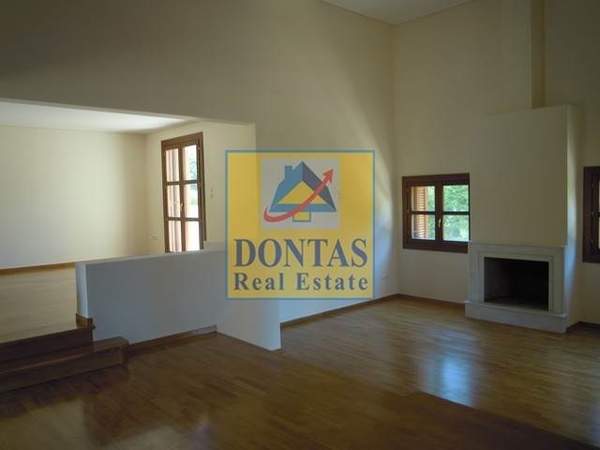 תמונת קיפיסיה למכירה (1)