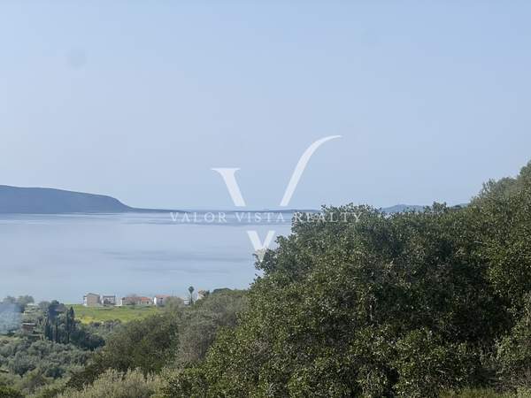 תמונת פילוס ונסטור, פלופונס למכירה