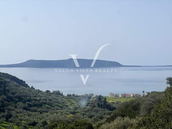 תמונת פילוס ונסטור, פלופונס למכירה