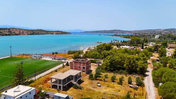 תמונת ארמיונידה, פלופונס למכירה