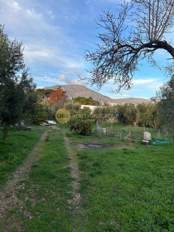 תמונת סרוניקוס, אתונה למכירה (0)