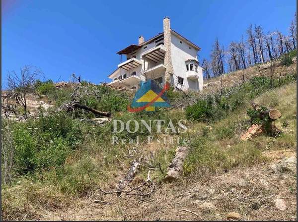 תמונת אורופוס, אתונה למכירה (0)