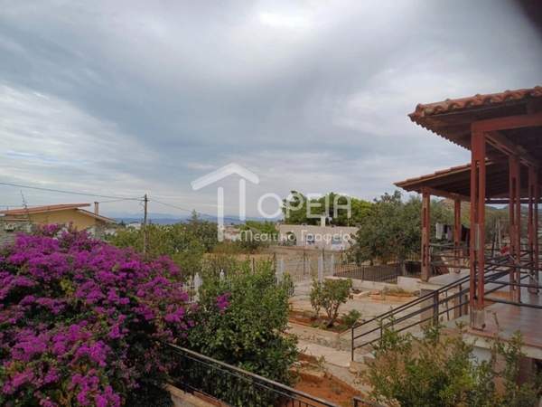 תמונת סרוניקוס, אתונה למכירה (0)