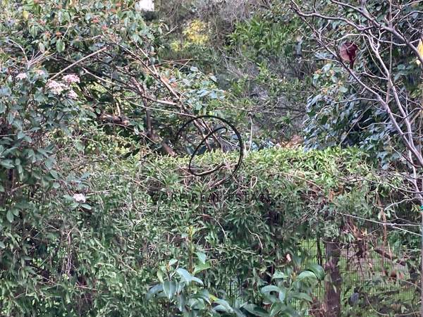 תמונת פסיכיקו למכירה (0)