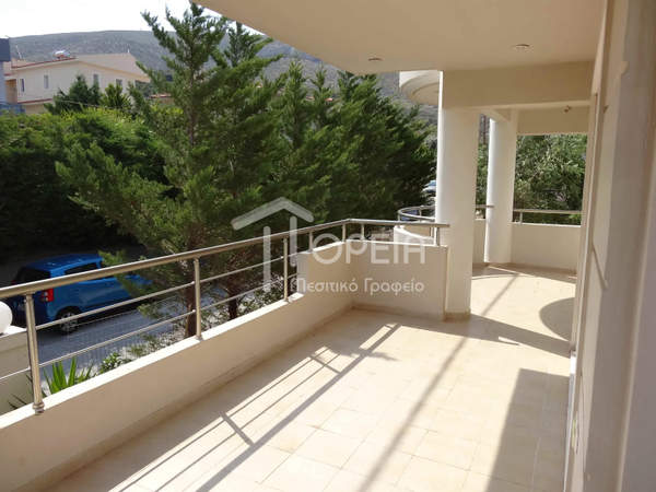 תמונת סרוניקוס, אתונה למכירה (0)