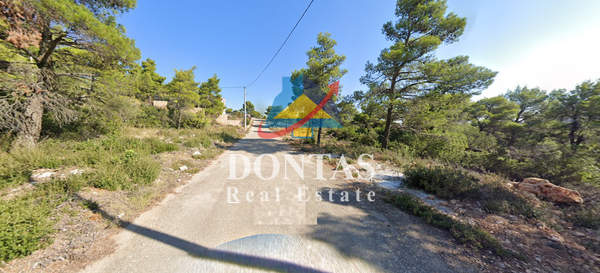 תמונת אורופוס למכירה (0)