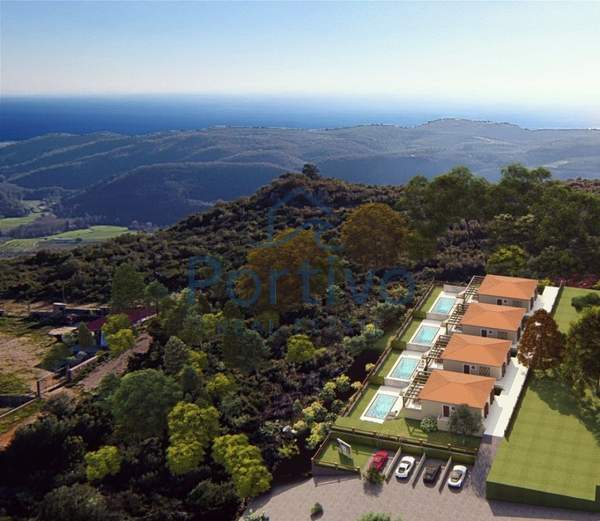 תמונת פרבזה למכירה