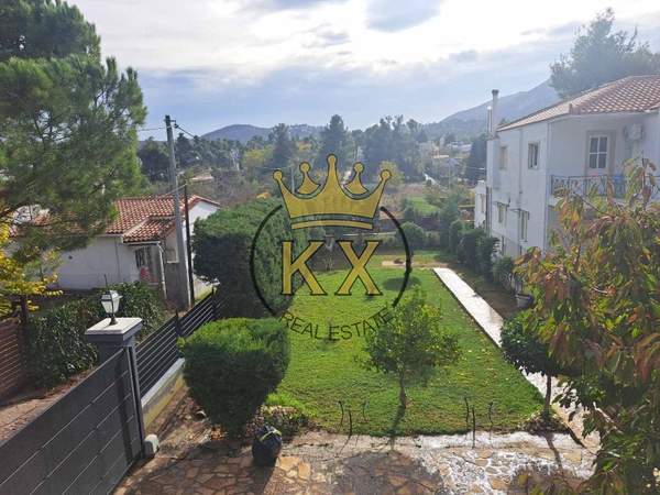 תמונת דיוניסוס, אתונה למכירה