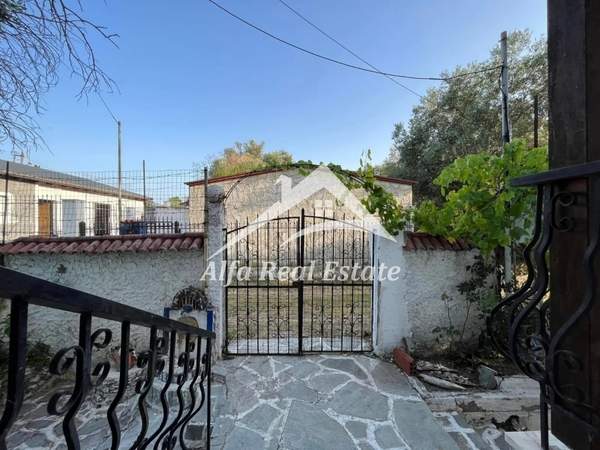 תמונת אגיה טריאדה, תרמיקוס למכירה