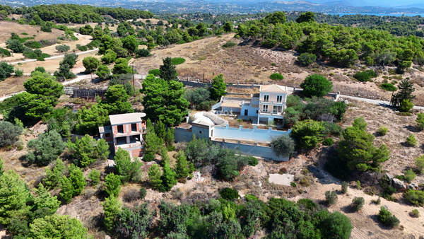 תמונת ארמיונידה למכירה (0)