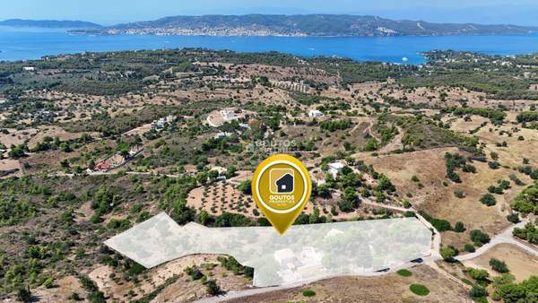 תמונת ארמיונידה, פלופונס למכירה