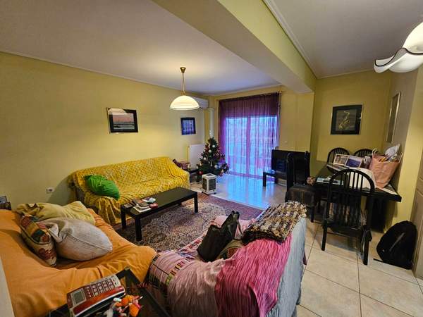 תמונת דפני למכירה (0)