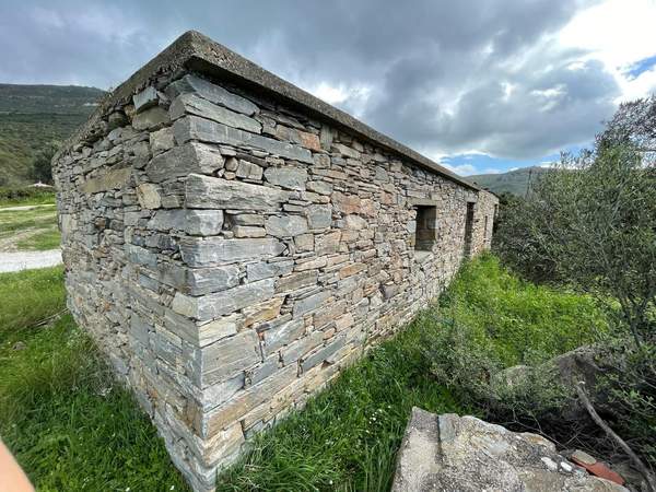 תמונת קאריסטוס, אוויה למכירה (0)