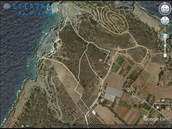 תמונת מאלוויצי למכירה (0)