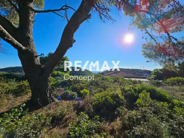 תמונת זקינתוס למכירה (1)