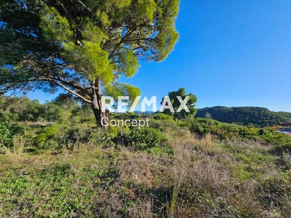 תמונת זקינתוס למכירה (0)