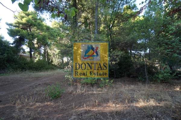 תמונת קיפיסיה, אתונה למכירה (1)