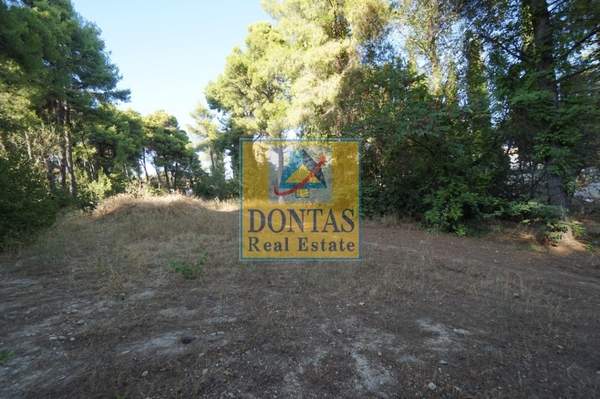 תמונת קיפיסיה, אתונה למכירה (0)