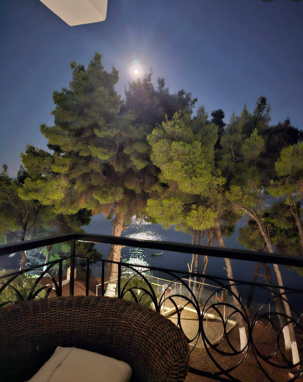 תמונת סיתוניה, כלקידיקי למכירה