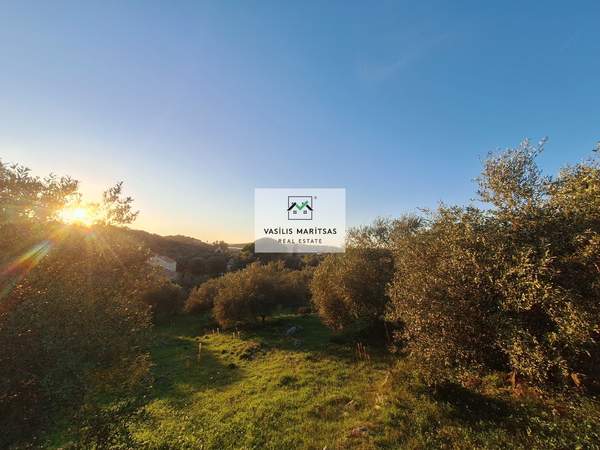 תמונת צפון קורפו למכירה