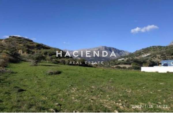 תמונת אגיוס וסיליוס, כרתים למכירה