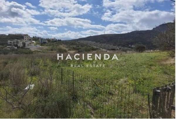 תמונת אגיוס וסיליוס, כרתים למכירה