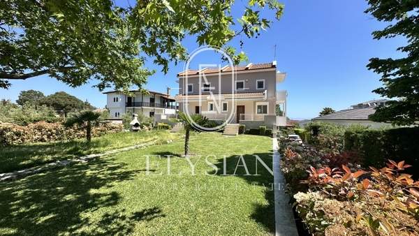 תמונת סיתוניה, כלקידיקי למכירה (1)