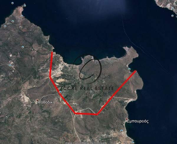 תמונת מילוס למכירה