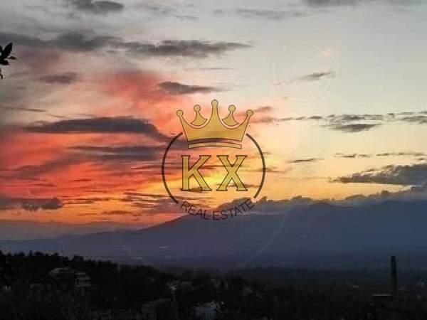 תמונת דיוניסוס, אתונה למכירה