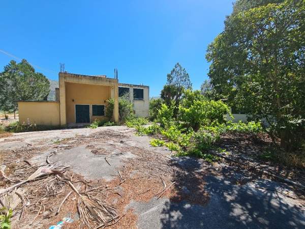 תמונת איגומיניצה למכירה (0)