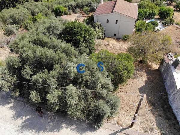 תמונת אפוקורנס למכירה (0)