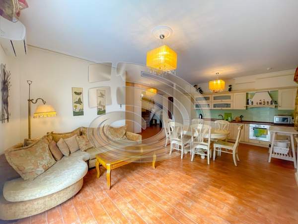 תמונת טנאגרה, אוויה למכירה (1)