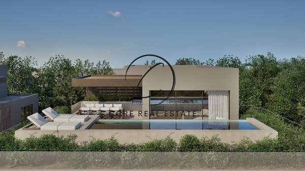 תמונת קיפיסיה, אתונה למכירה