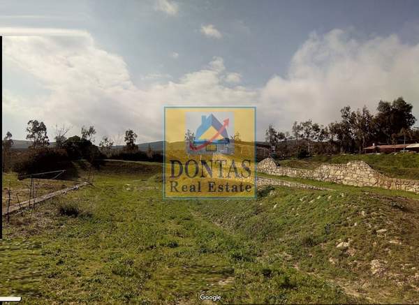 תמונת אסטרוזיה למכירה (1)