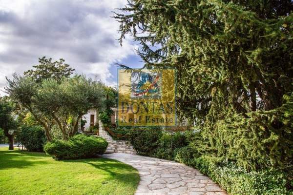 תמונת קיפיסיה, אתונה למכירה (1)