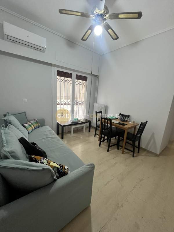 תמונת פאליו פאלירו למכירה (1)