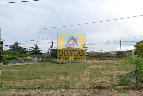 תמונת דיוניסוס למכירה (0)