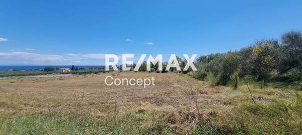 תמונת רשות מקומית זקינתוס למכירה