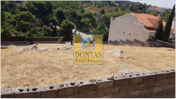 תמונת פאנטלי למכירה (1)