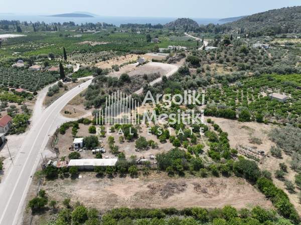 תמונת נאפפליו, פלופונס למכירה (0)