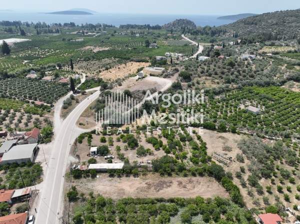 תמונת נאפפליו, פלופונס למכירה (1)