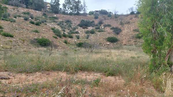 תמונת ראפינה - פיקרמי, אתונה למכירה (0)